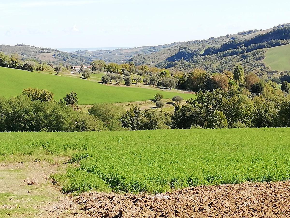 B&B Ripalta Sogliano al Rubicone Kültér fotó